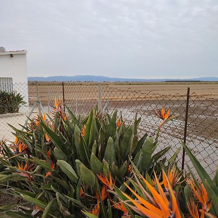 Caseta Del Chato Deltebre Exterior photo