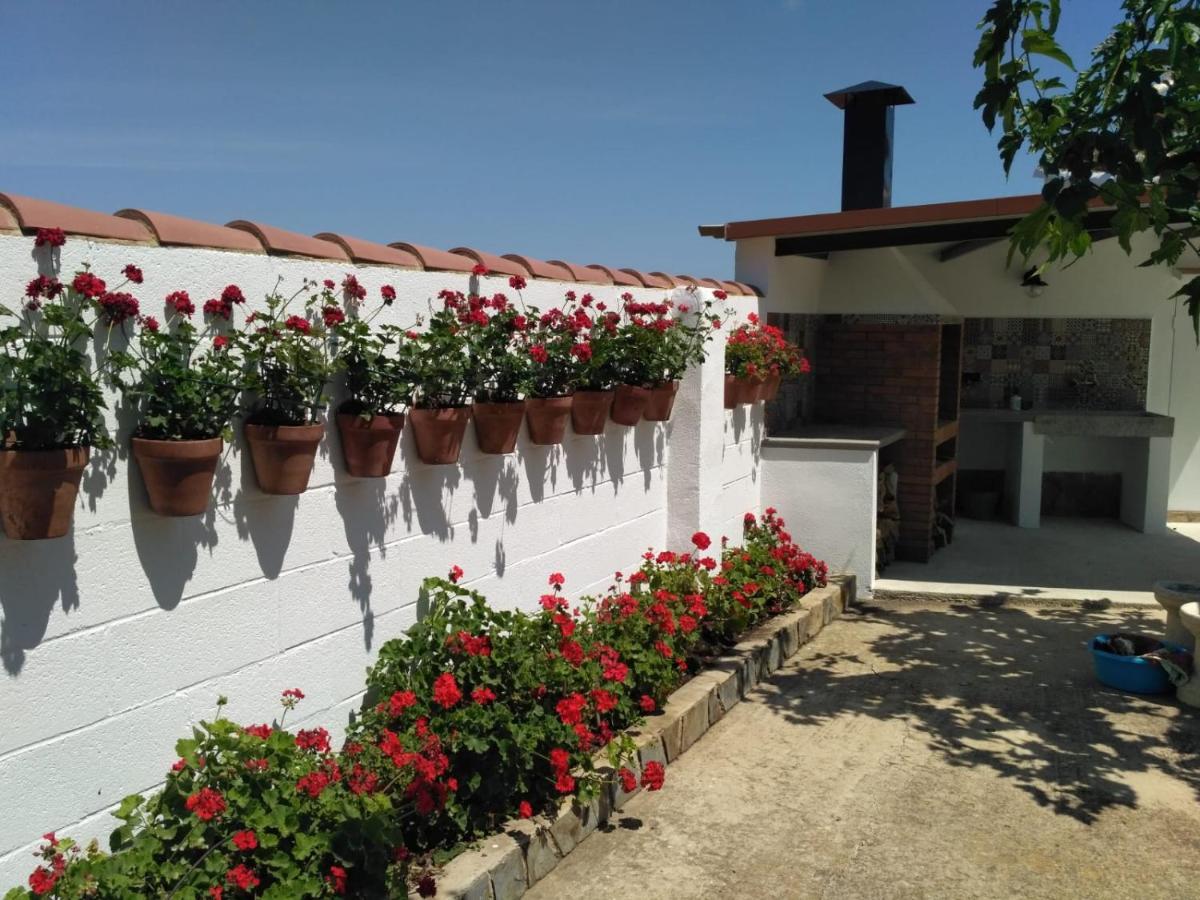 Caseta Del Chato Deltebre Exterior photo